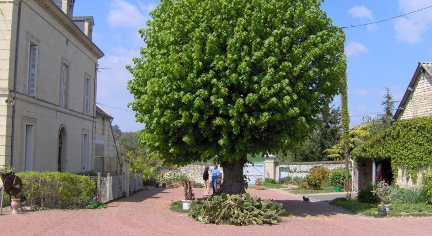 Les Roulottes De Cuzay Villa Roiffe Room photo